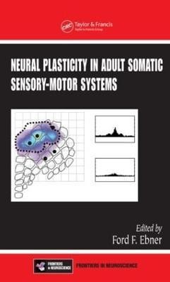 Neural Plasticity in Adult Somatic Sensory-Motor Systems(English, Hardcover, unknown)