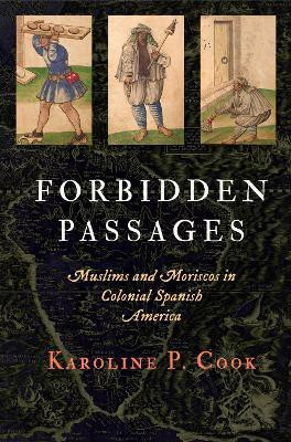 Forbidden Passages(English, Hardcover, Cook Karoline P.)