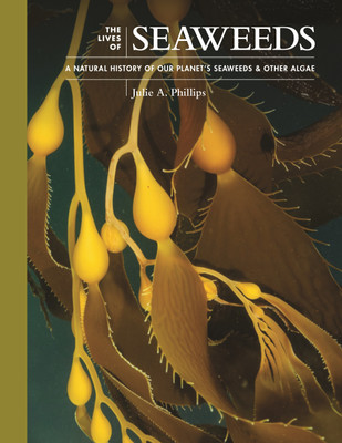The Lives of Seaweeds(English, Hardcover, Phillips Julie A.)