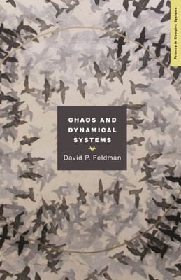 Chaos and Dynamical Systems(English, Paperback, unknown)