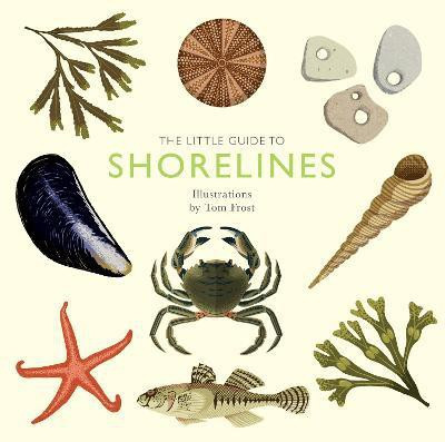 The Little Guide to Shorelines(English, Hardcover, Davies Alison)