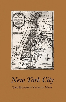 New York City(English, Paperback, Tomasko Mark D.)