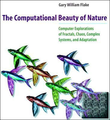 The Computational Beauty of Nature(English, Paperback, Flake Gary William)