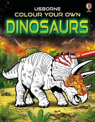 Colour Your Own Dinosaurs(English, Paperback, Smith Sam)