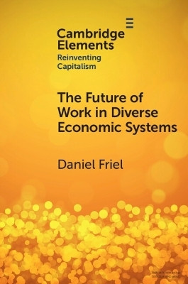 The Future of Work in Diverse Economic Systems(English, Paperback, Friel Daniel)