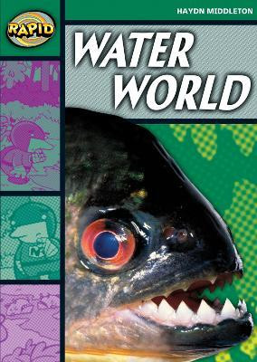 Rapid Reading: Water World (Stage 5 Level 5B)(English, Paperback, Middleton Haydn)