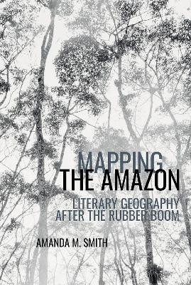 Mapping the Amazon(English, Paperback, Smith Amanda M.)