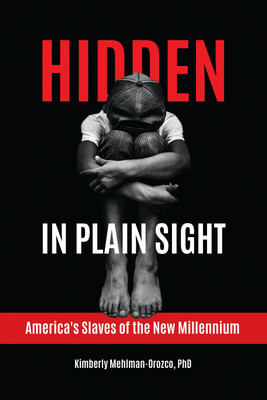 Hidden in Plain Sight(English, Paperback, Mehlman-Orozco Kimberly)