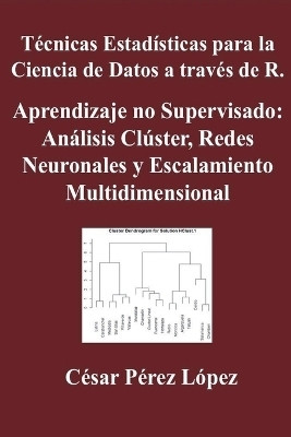 Tecnicas Estadisticas para la Ciencia de Datos a traves de R. Aprendizaje no Supervisado(Spanish, Paperback, Lopez Cesar Perez)