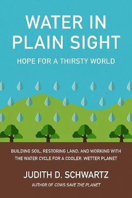 Water in Plain Sight(English, Paperback, Schwartz Judith D.)
