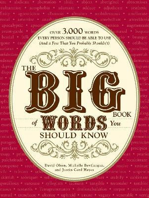 The Big Book of Words You Should Know(English, Paperback, Olsen David)