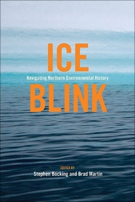 Ice Blink(English, Paperback, unknown)