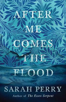 After Me Comes the Flood(English, Paperback, Perry Sarah)