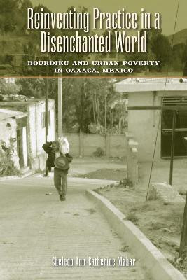 Reinventing Practice in a Disenchanted World(English, Paperback, Mahar Cheleen Ann-Catherine)