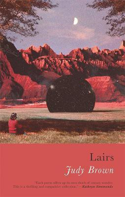 Lairs(English, Paperback, Brown Judy)