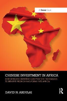 Chinese Investment in Africa(English, Paperback, Abdulai David N.)