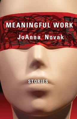 Meaningful Work(English, Paperback, Novak JoAnna)