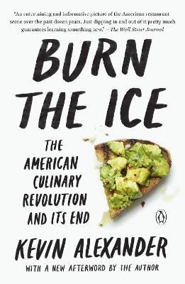 Burn the Ice(English, Paperback, Alexander Kevin)