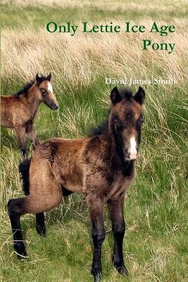 Only Lettie Ice Age Pony(English, Paperback, Smith David James)