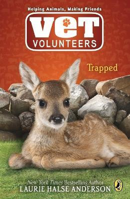 Trapped(English, Paperback, Anderson Laurie Halse)