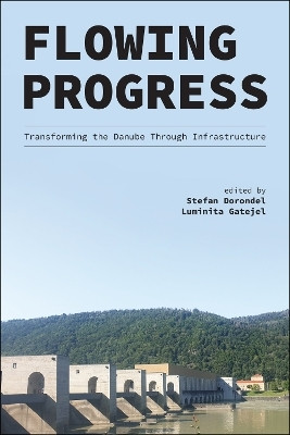 Flowing Progress(English, Paperback, unknown)