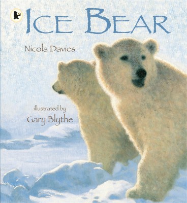 Ice Bear(English, Paperback, Davies Nicola)