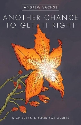 Another Chance to Get it Right(English, Hardcover, Darrow Geof)