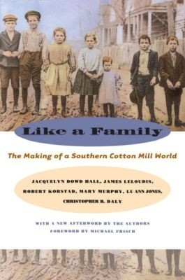 Like a Family(English, Paperback, Jones Lu Ann)