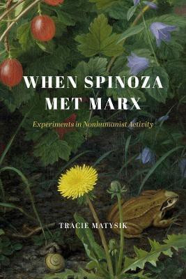 When Spinoza Met Marx(English, Hardcover, Matysik Tracie)