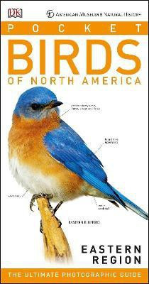 American Museum of Natural History: Pocket Birds of North America, Eastern Region(English, Paperback, Kress Stephen)