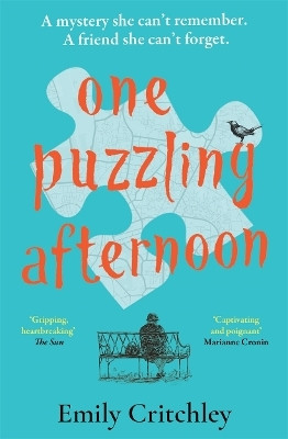 One Puzzling Afternoon(English, Paperback, Critchley Emily)