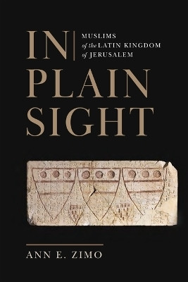 In Plain Sight(English, Hardcover, Zimo Ann E.)