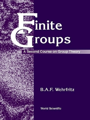 Finite Groups: A Second Course On Group Theory(English, Hardcover, Wehrfritz Bert)