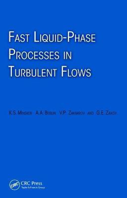 Fast Liquid-Phase Processes in Turbulent Flows(English, Hardcover, Minsker Karl)
