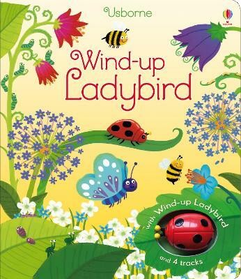 Wind-up Ladybird(English, Board book, Watt Fiona)