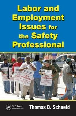 Labor and Employment Issues for the Safety Professional(English, Electronic book text, Schneid Thomas D.)
