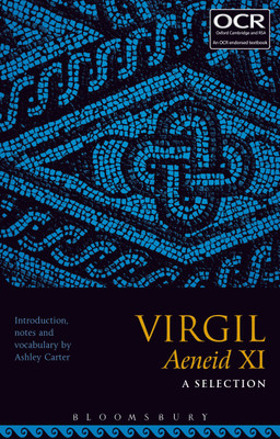Virgil Aeneid XI: A Selection(English, Paperback, unknown)