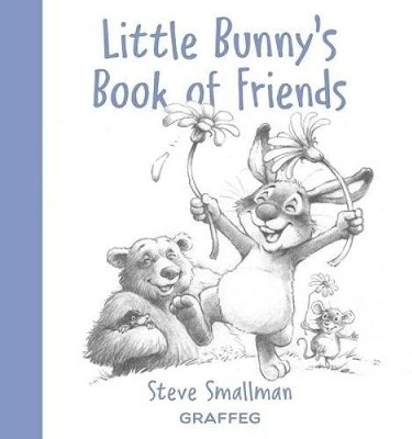 Little Bunny's Book of Friends(English, Hardcover, Smallman Steve)