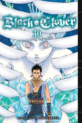 Black Clover, Vol. 30(English, Paperback, Tabata Yuki)