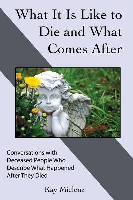 What It Is Like to Die and What Comes After(English, Paperback, Mielenz Kay)