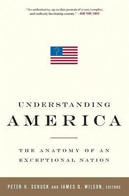 Understanding America(English, Paperback, Wilson James)