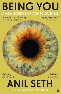 Being You(English, Paperback, Seth Anil Professor)