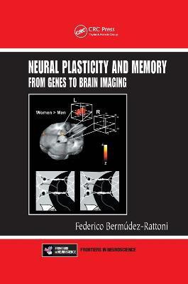 Neural Plasticity and Memory(English, Paperback, unknown)