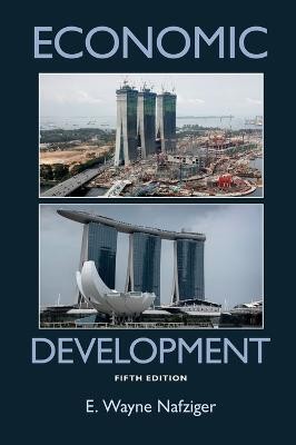 Economic Development(English, Hardcover, Nafziger E. Wayne)