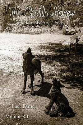 The Ocotillo Review Volume 8.1(English, Paperback, unknown)
