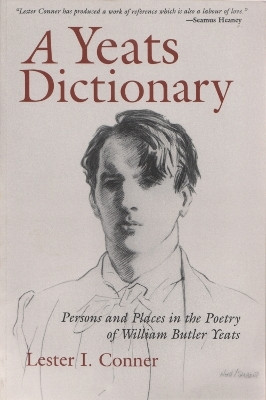 A Yeats Dictionary(English, Paperback, Berenson James)