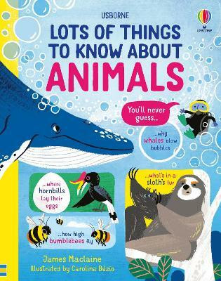 Lots of Things to Know About Animals(English, Hardcover, Maclaine James)