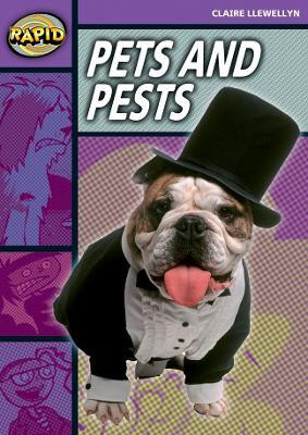 Rapid Reading: Pets and Pests (Stage 1, Level 1B)(English, Paperback, Llewellyn Claire)