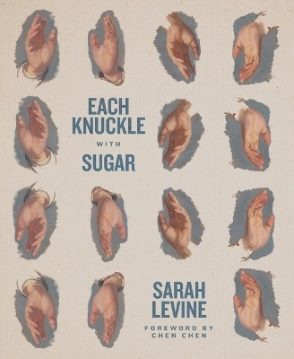 Each Knuckle with Sugar(English, Paperback, Levine Sarah)