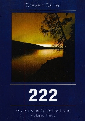 222(English, Paperback, Carter Steven)